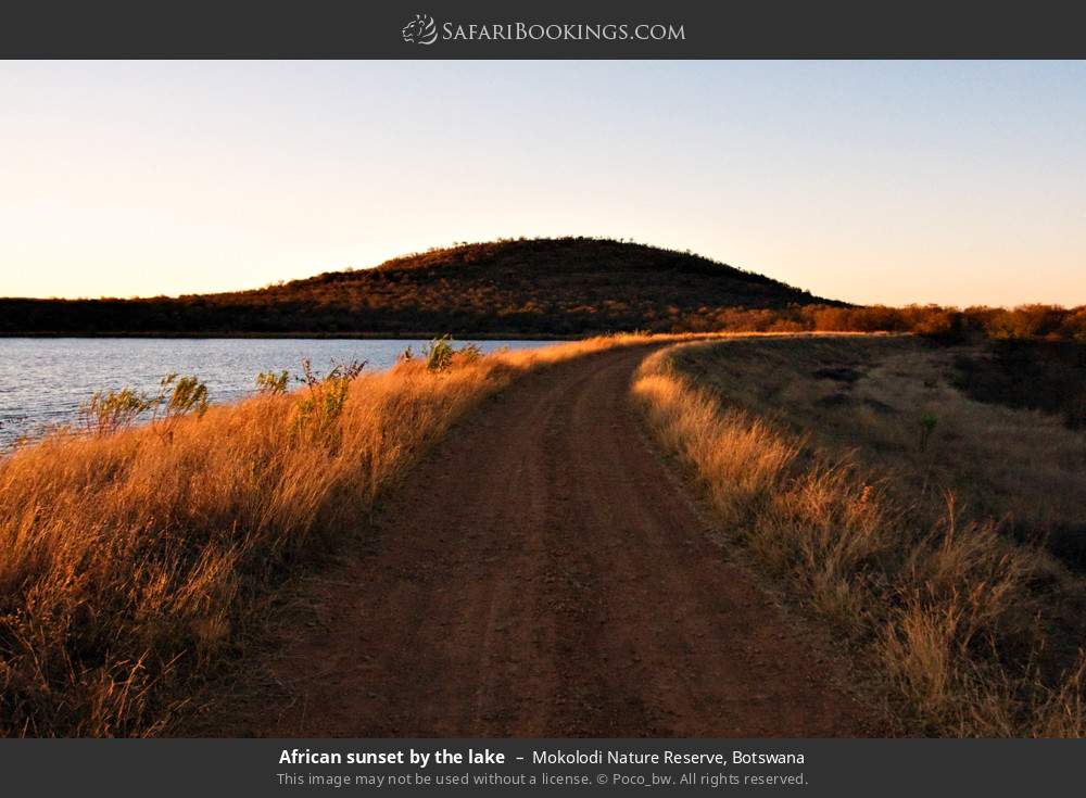 African sunset by the lake in Mokolodi Nature Reserve, Botswana