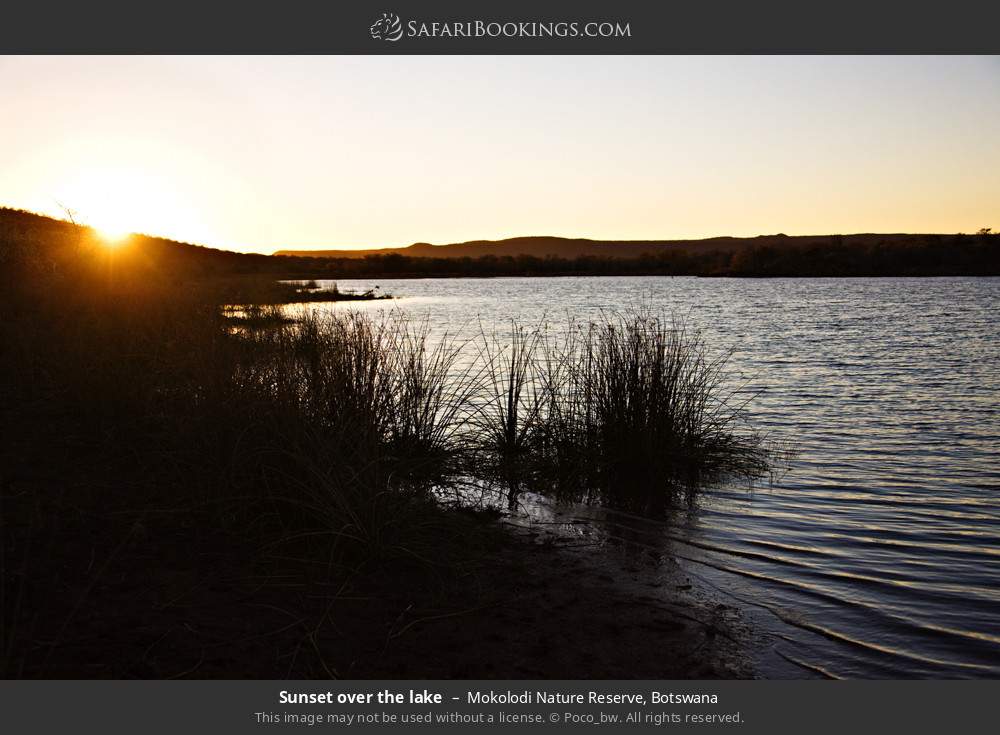 Sunset over the lake in Mokolodi Nature Reserve, Botswana