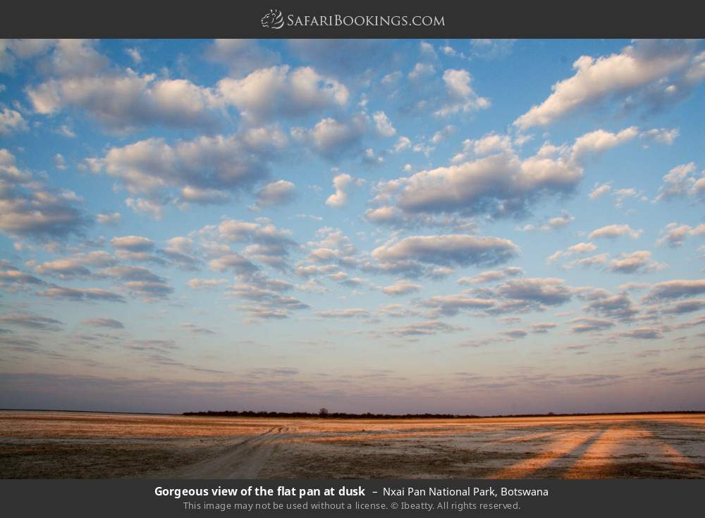 View of the pan at dusk in Nxai Pan National Park, Botswana