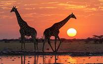 Nxai Pan National Park