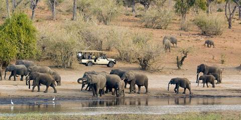 10-Day Wildlife and Victoria Falls NP