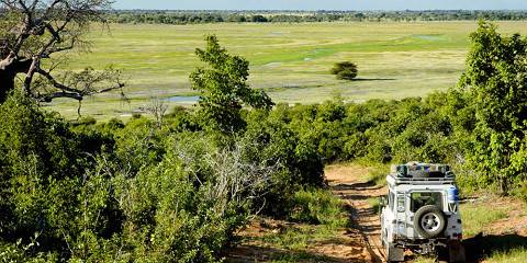 Chobe & Savuti Wildlife Expedition