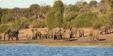 5-Day Botswana Treasures