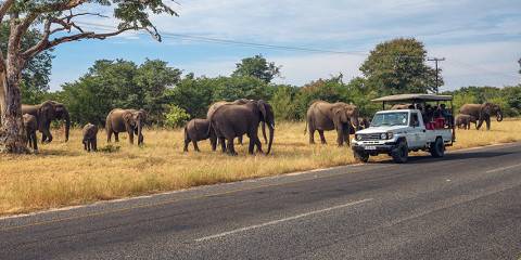 Game Viewing Explorer Tour
