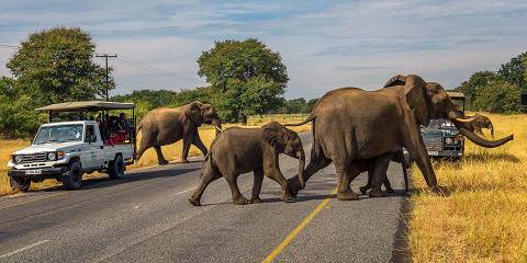 Maun to Victoria Falls Accommodated Trip