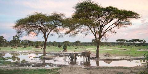 6-Day Luxury Chobe & Okavango Delta, Botswana