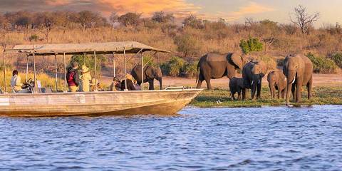 5-Day Affordable Vic Falls and Chobe Safari