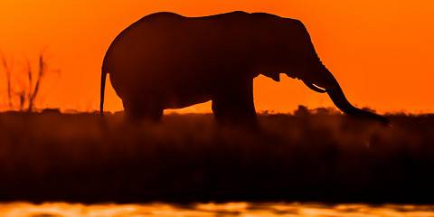 10-Day Botswana Journey