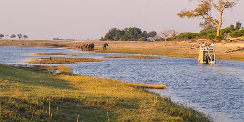 11-Day Into the Wild - Namibia to Zimbabwe