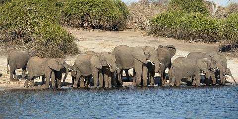 3-Day Okavango Delta Mokoro Tour
