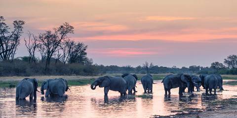 5-Day Hwange -Victoria Falls & Chobe Mid- Range