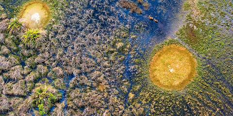 7-Day Okavango Expedition & Victoria Falls