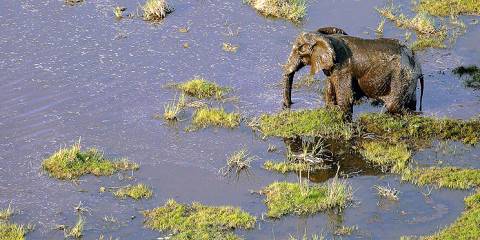 2-Day Bavarian & Bush-Essential Safari