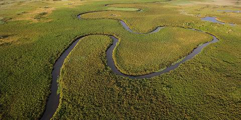 13-Day Botswana Wild Parks from Maun