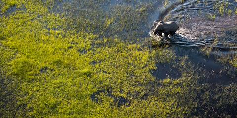 4-Day Okavango Delta Boat Safari Private Tour