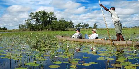 5-Day Okavango Moremi Private Safari