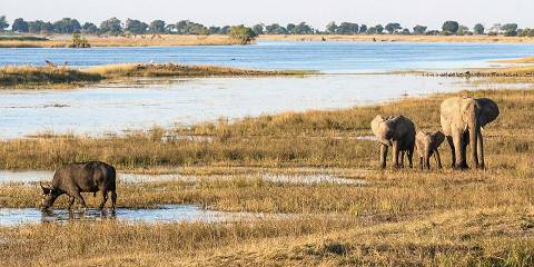 10-Day Victoria Falls, Chobe & Okavango Delta Safari