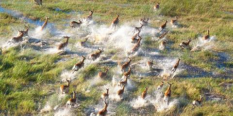 6-Day Northern Botswana Explorations