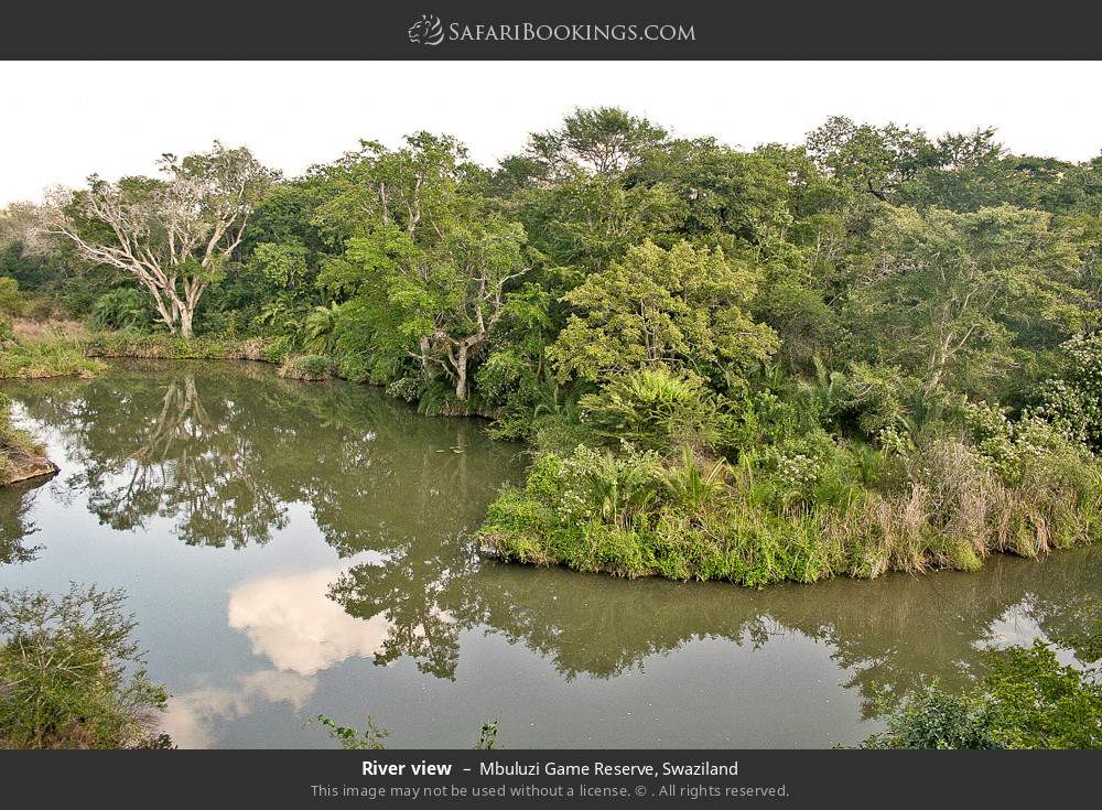 River view in Mbuluzi Game Reserve, Eswatini