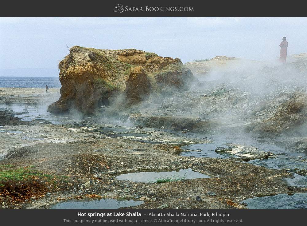 Hot springs at Lake Shalla in Abijatta-Shalla National Park, Ethiopia