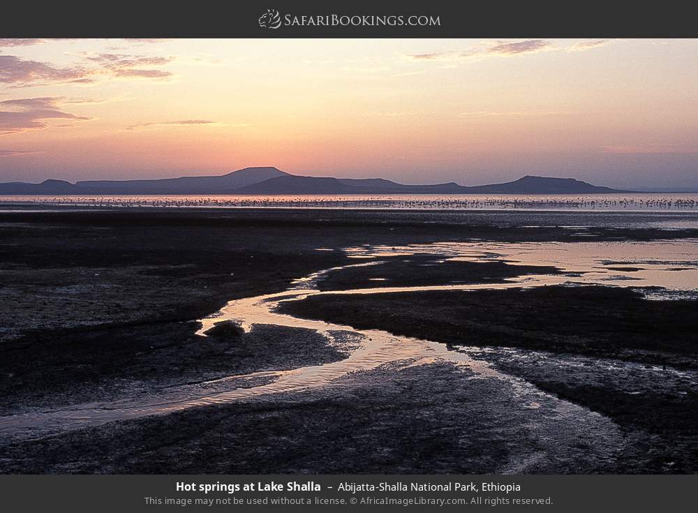 Hot springs at Lake Shalla in Abijatta-Shalla National Park, Ethiopia