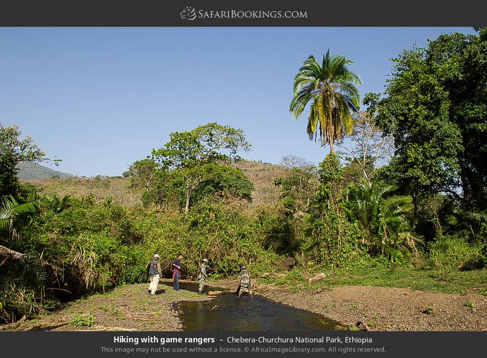 Hiking with game rangers in Chebera-Churchura National Park, Ethiopia