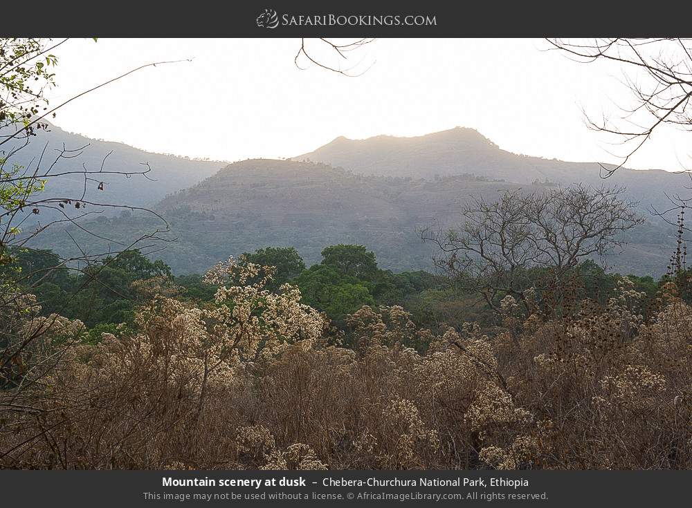 Mountain scenery at dusk, Chebera-Churchura NP in Chebera-Churchura National Park, Ethiopia