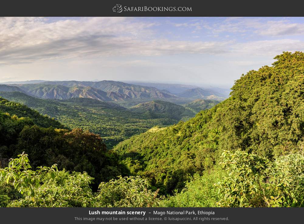 Lush mountain scenery in Mago NP in Mago National Park, Ethiopia