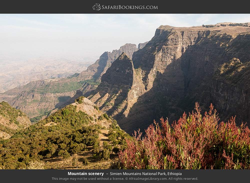 Mountain scenery, Simien Mountains NP in Simien Mountains National Park, Ethiopia