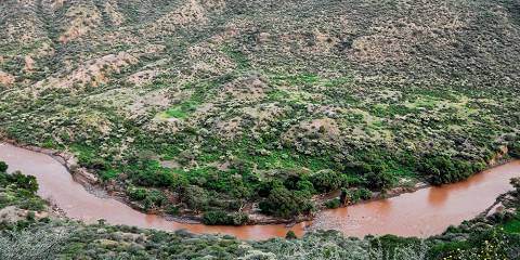 3-Day Awash Wildlife & Hot Springs Safari