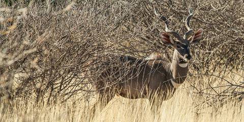 9-Day Discover Omo Valley Culture& Rift Valley Adventure