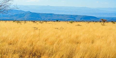 5-Day Harar & Awash Adventure Tour