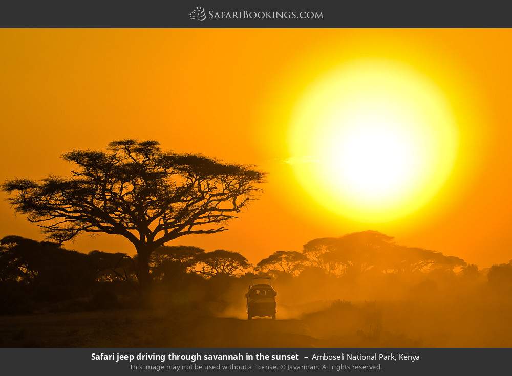 Safari vehicle driving through savannah in the sunset in Amboseli National Park, Kenya
