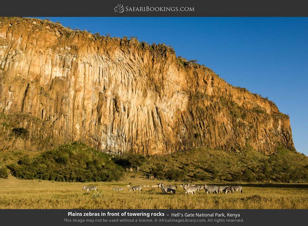 Plains zebras in front of towering rocks in Hell's Gate National Park, Kenya