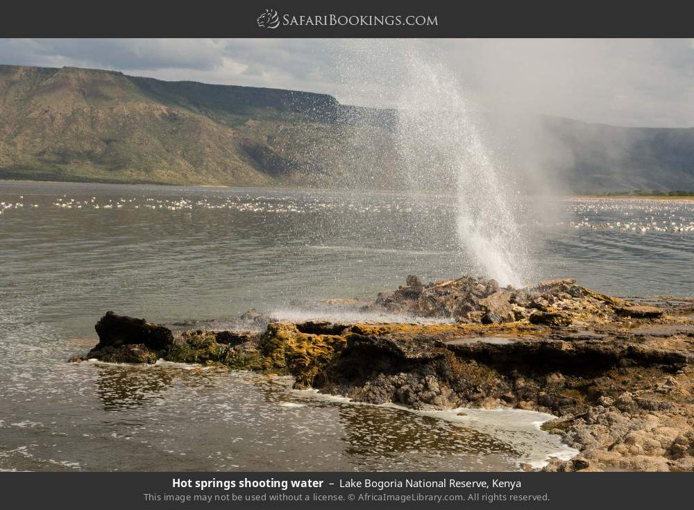 Hot springs shooting water in Lake Bogoria National Reserve, Kenya