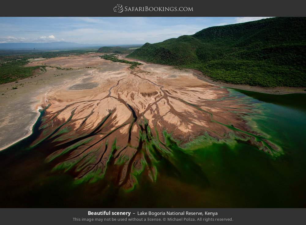 Beautiful lakeside scenery in Lake Bogoria National Reserve, Kenya