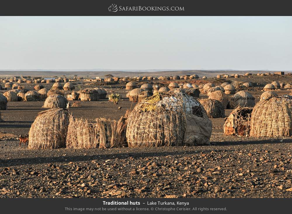 Traditional huts in Lake Turkana, Kenya