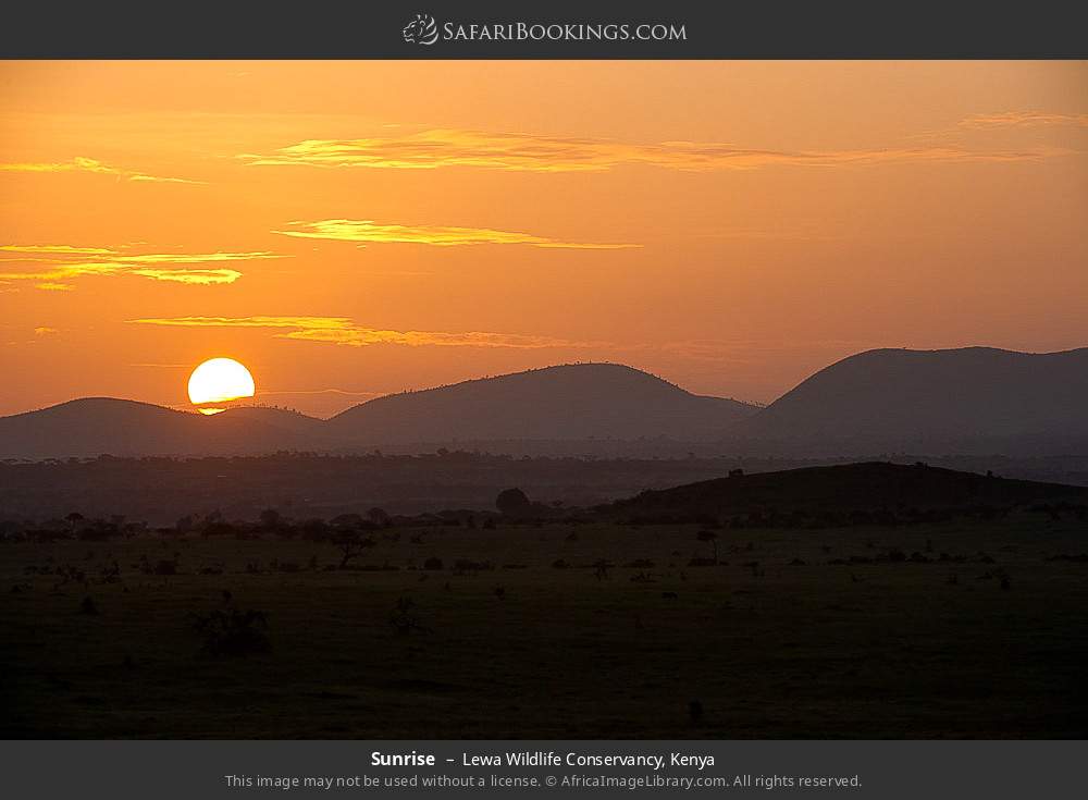 Sunrise in Lewa Wildlife Conservancy, Kenya