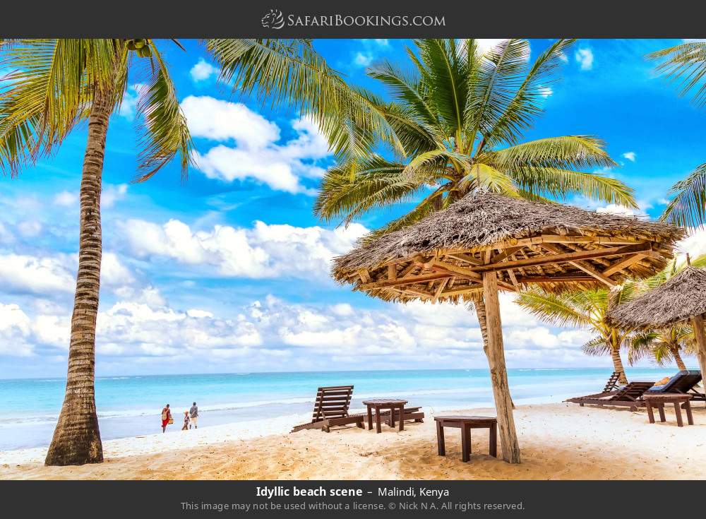 Idyllic Malindi beach scene in Malindi, Kenya