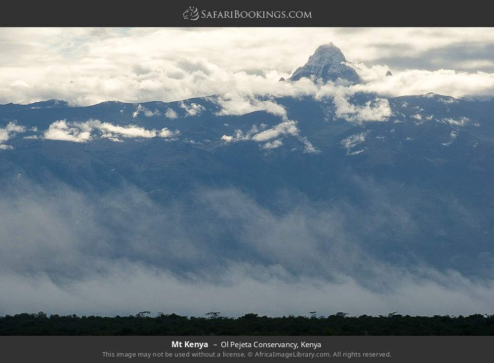 Mt Kenya in Ol Pejeta Conservancy, Kenya