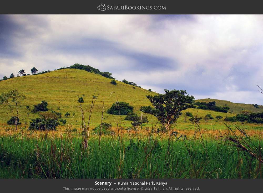 Park scenery in Ruma National Park, Kenya