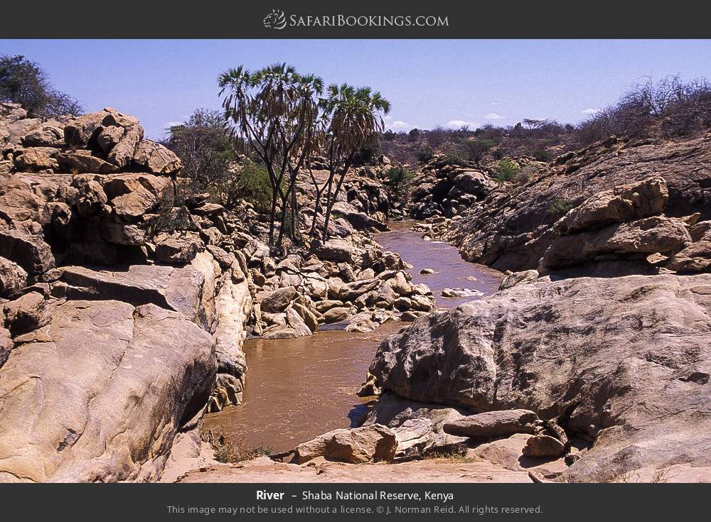 River in Shaba National Reserve, Kenya
