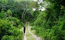 Arabuko Sokoke Forest Reserve
