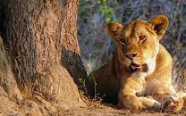 Kora National Park