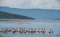 Lake Bogoria National Reserve