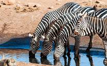 Taita Hills Wildlife Sanctuary