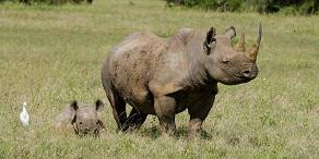 Open Photos