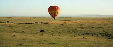 Balloon safari