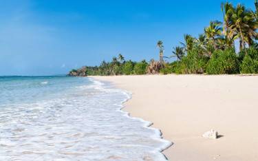 Palm-lined Diani Beach