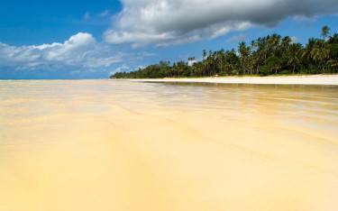 Tropical idyllic beach scene